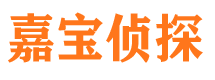 肃北外遇调查取证